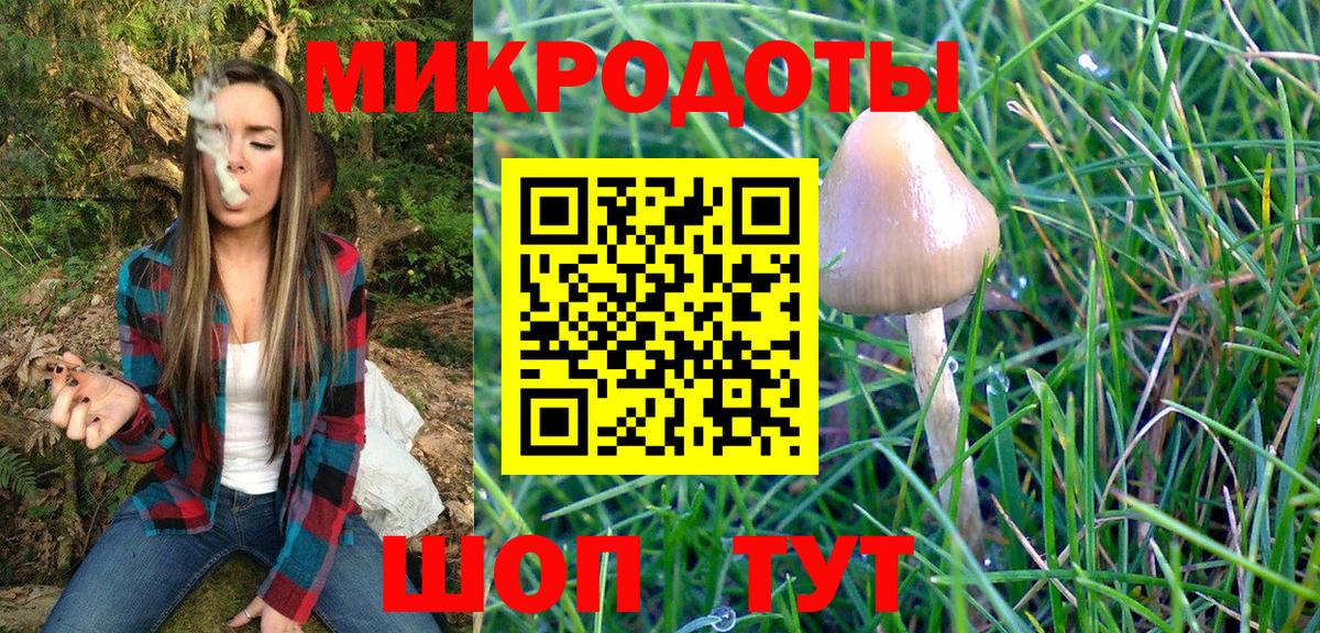 Галлюциногенные грибы Psilocybe  где купить наркоту  Курчатов  Вход с VPN 