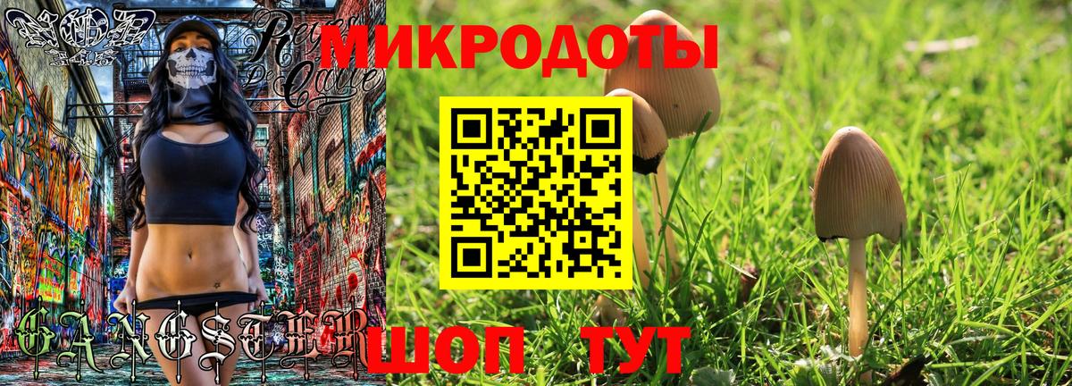 Псилоцибиновые грибы Magic Shrooms Курчатов